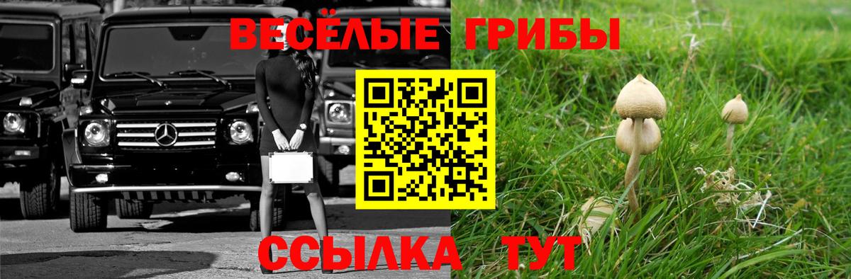 Псилоцибиновые грибы MAGIC MUSHROOMS  где можно купить наркотик  Владимир  Псилоцибиновые грибы мухоморы  Вход с VPN 